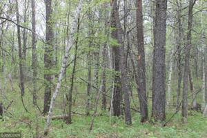 XXX Fawn Forest Lot 10 Road