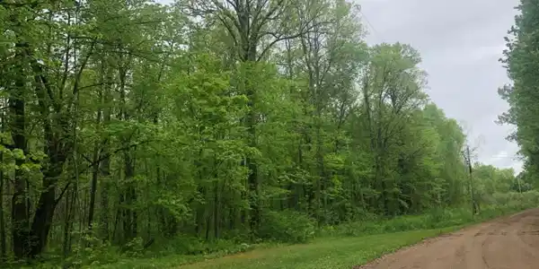 42505 294th Lane