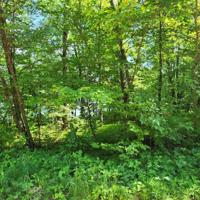 XXX Lot B Olander Road