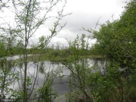 Lot 5 Ash