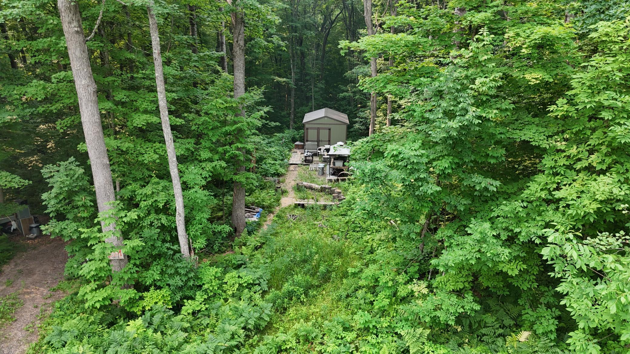 Image 1 Image 1