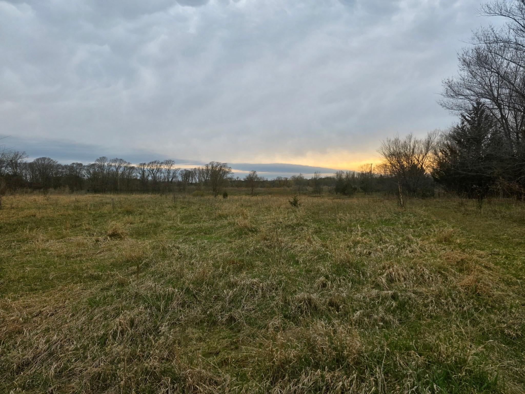 Image 4 Image 4