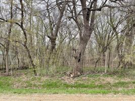 Lot 2 Ketelle NE