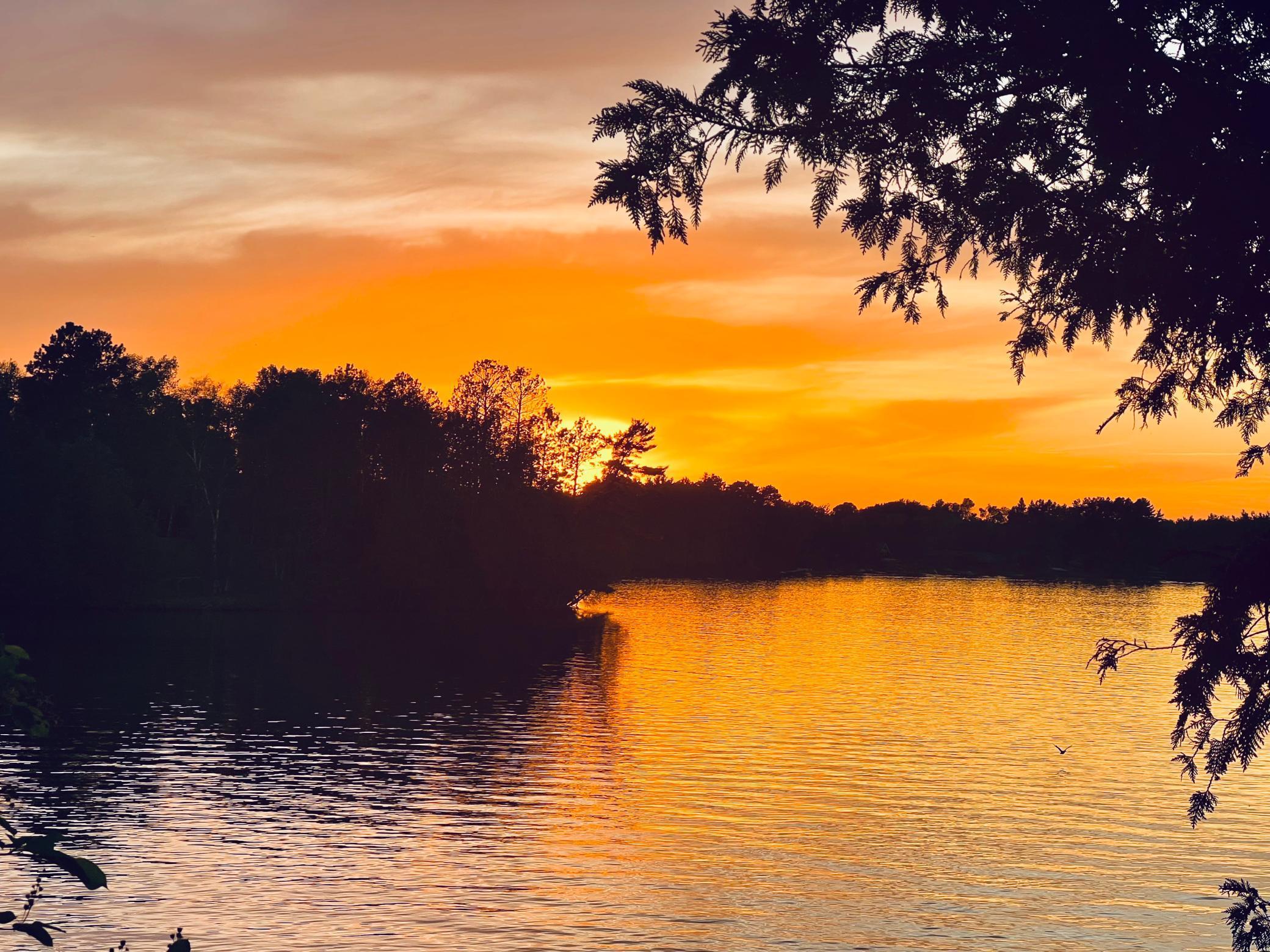 Image 3 Image 3