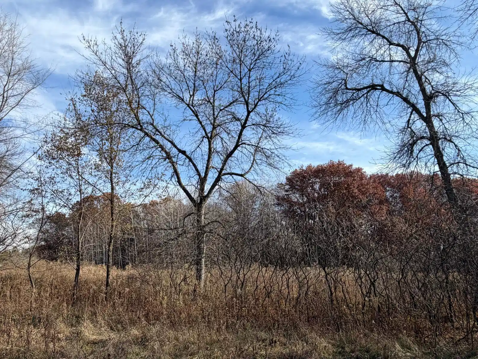Image 1 Image 1