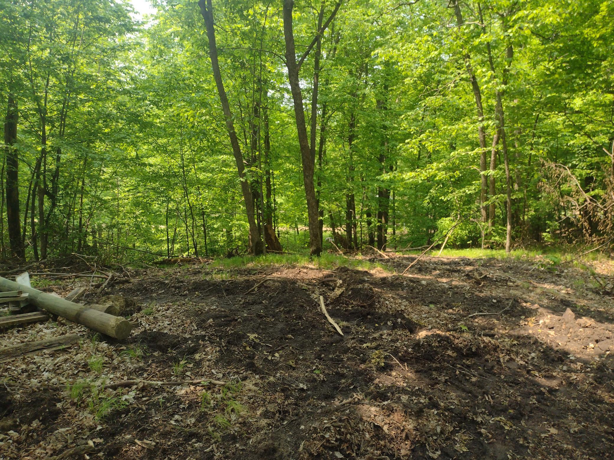 Image 1 Image 1