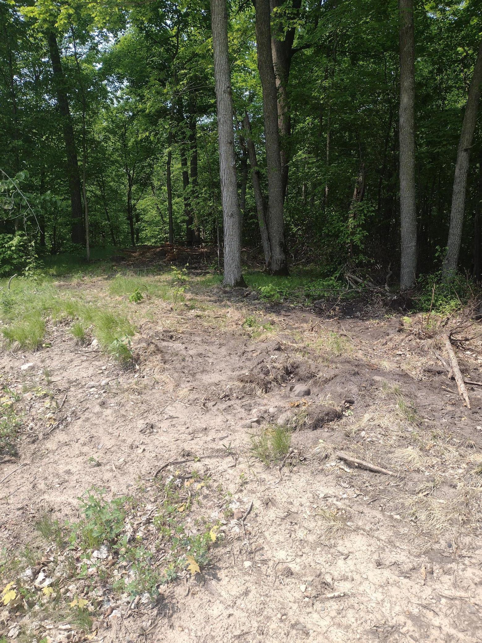Image 3 Image 3