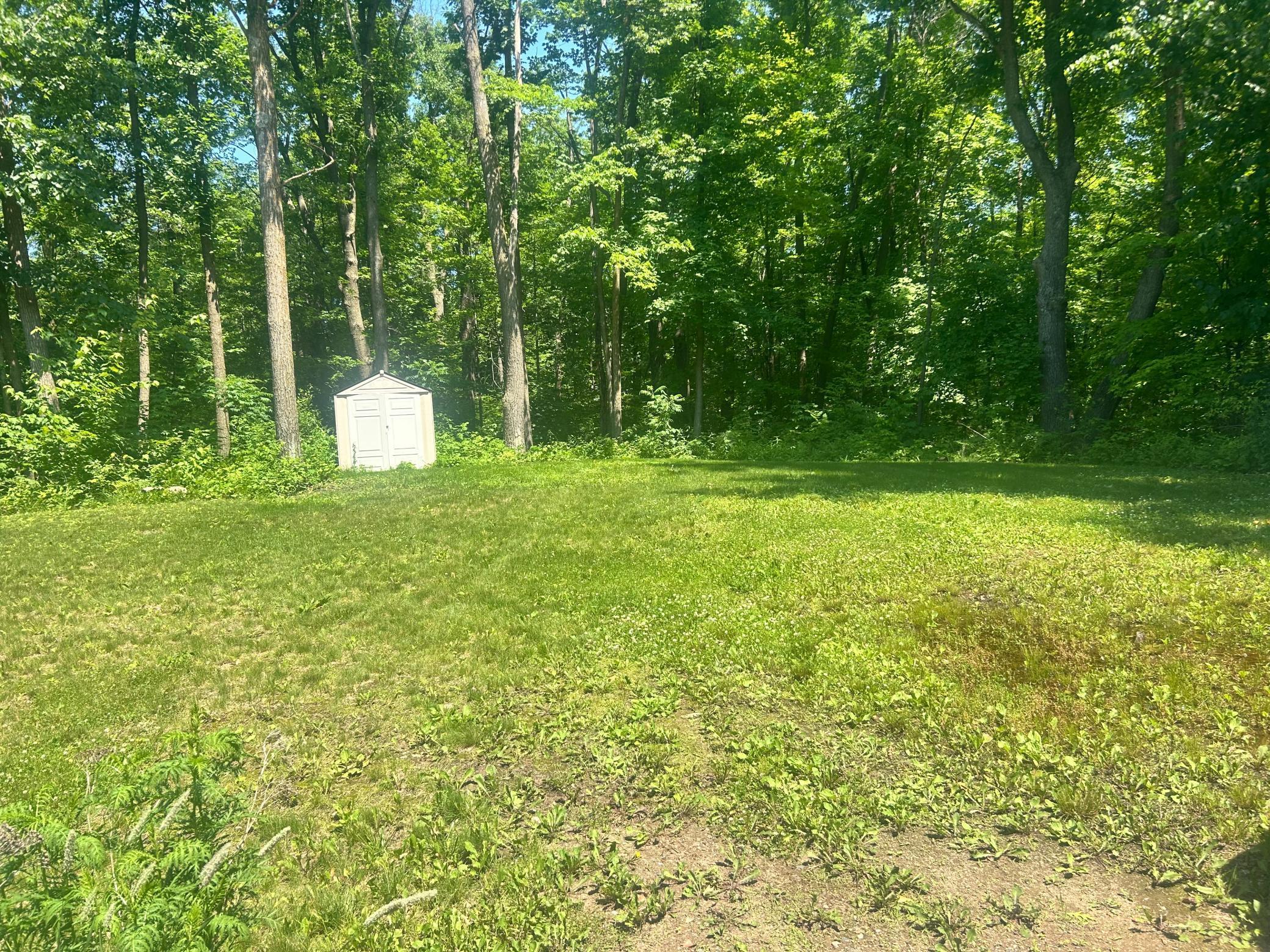 Image 4 Image 4