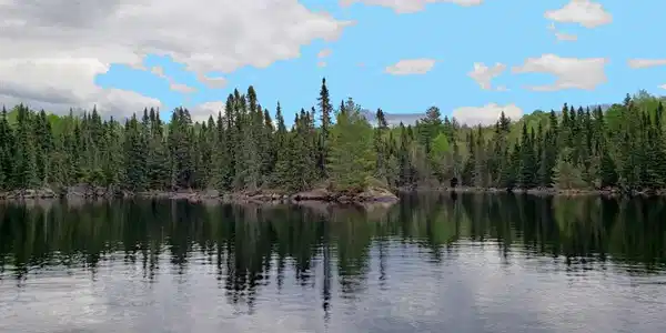 TBD West Elbow Lake