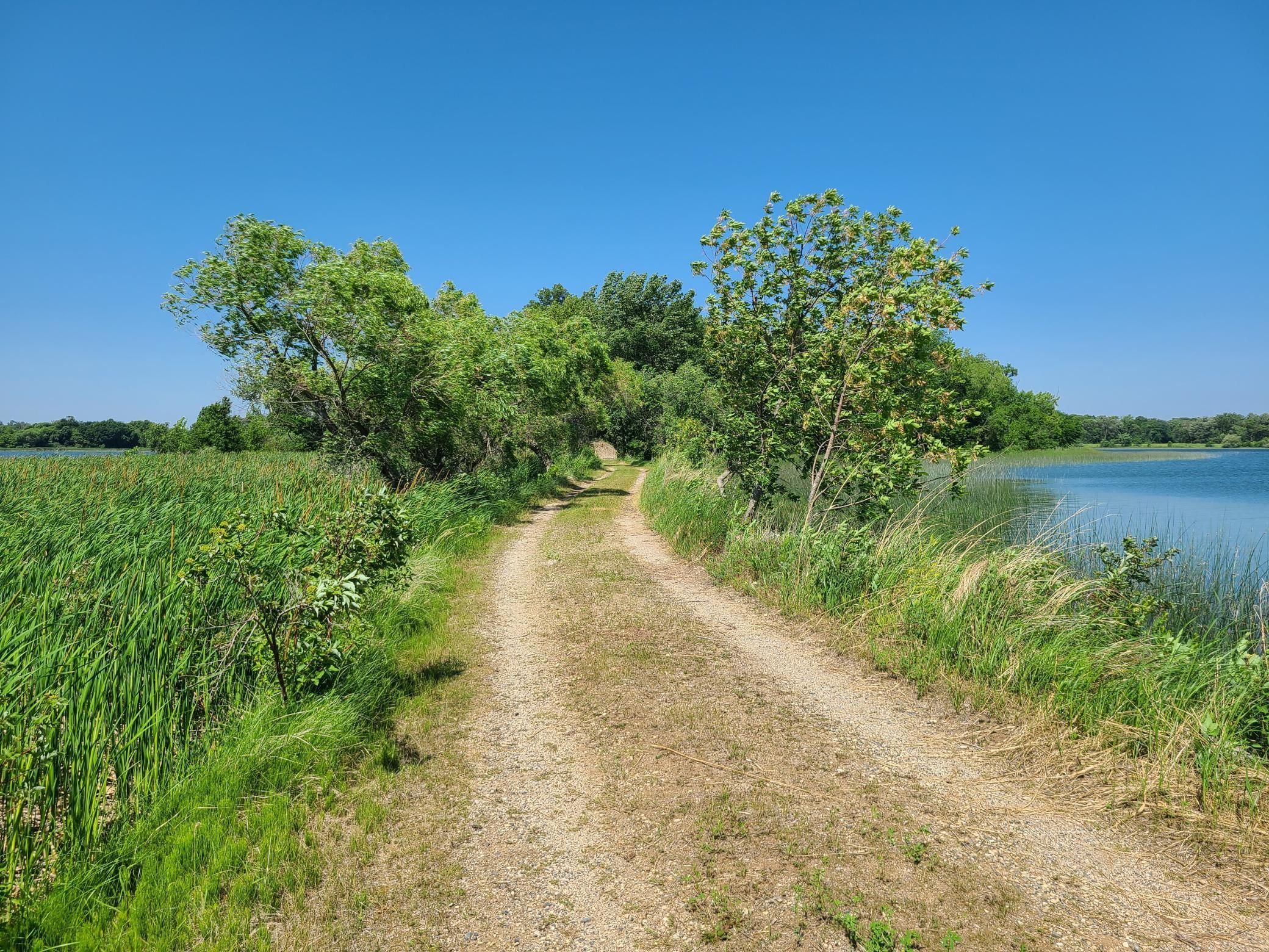 Image 1 Image 1
