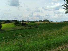 16759 - 3 Morrison Line