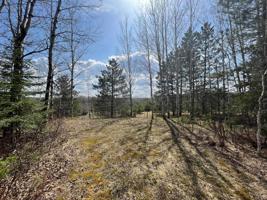Lot # 22 Waters of Vermilion Rd