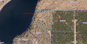 84795 Jack Pine