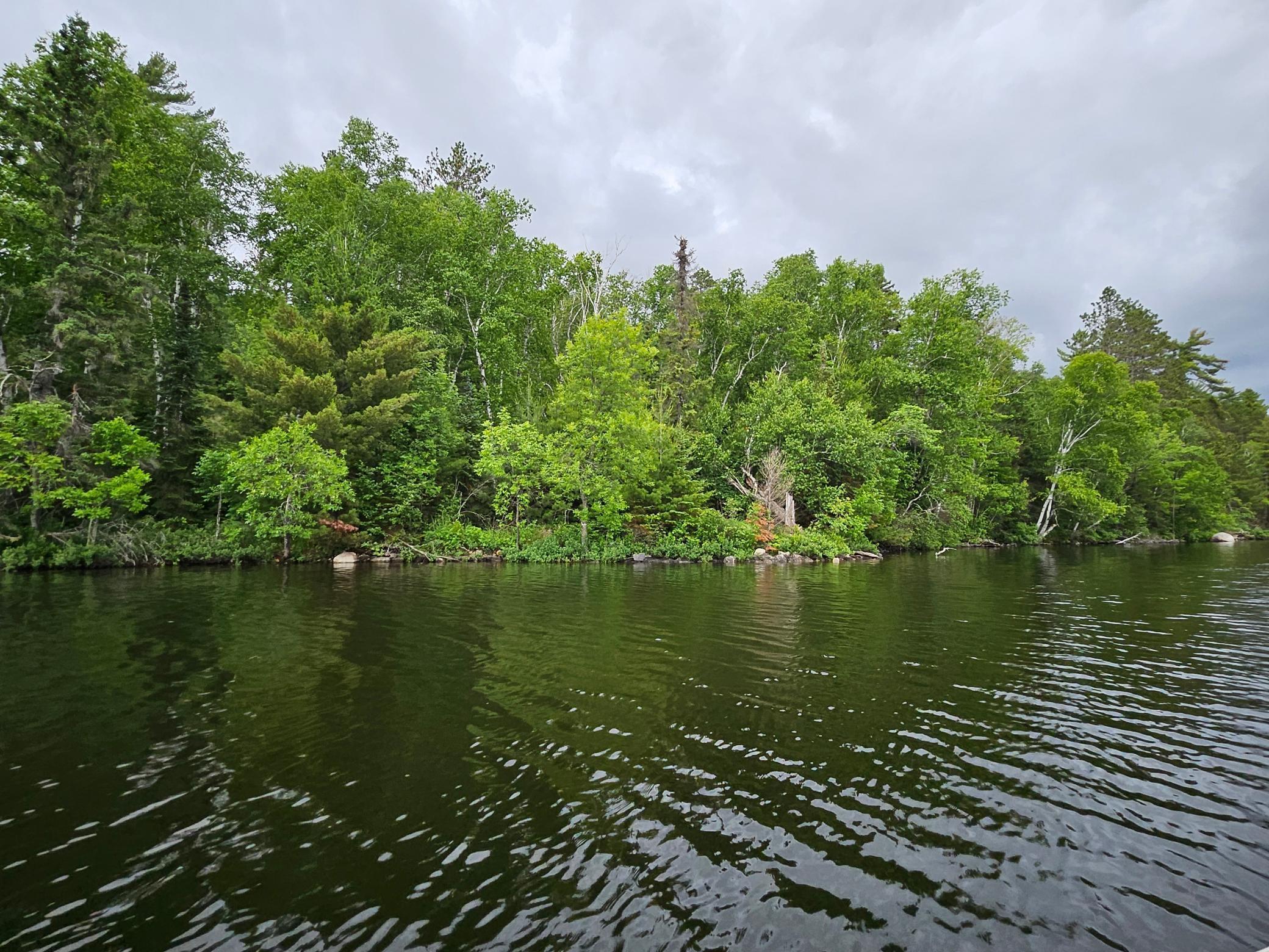 Image 4 Image 4