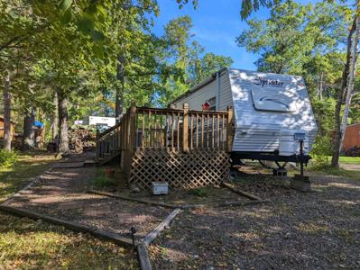 30478 Plumwood