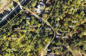 0.27 Acre Enchanted