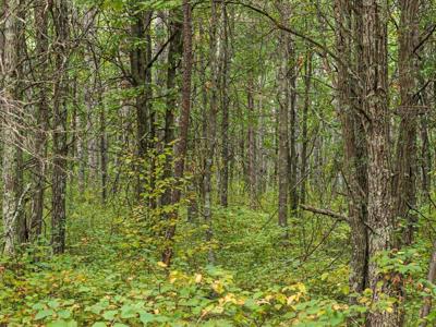 Lot F Sandbar Lane