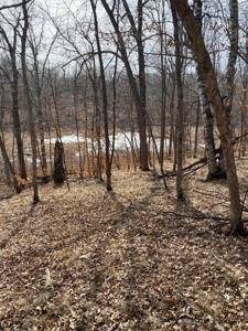 TBD Fawn Lake Road