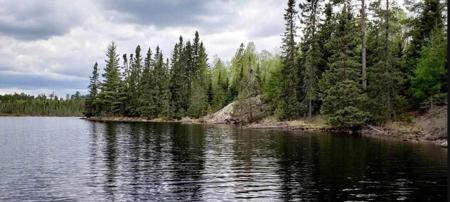 TBD Elbow Lake North