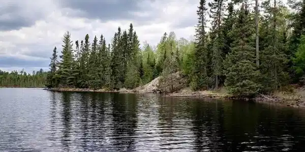 TBD Elbow Lake North