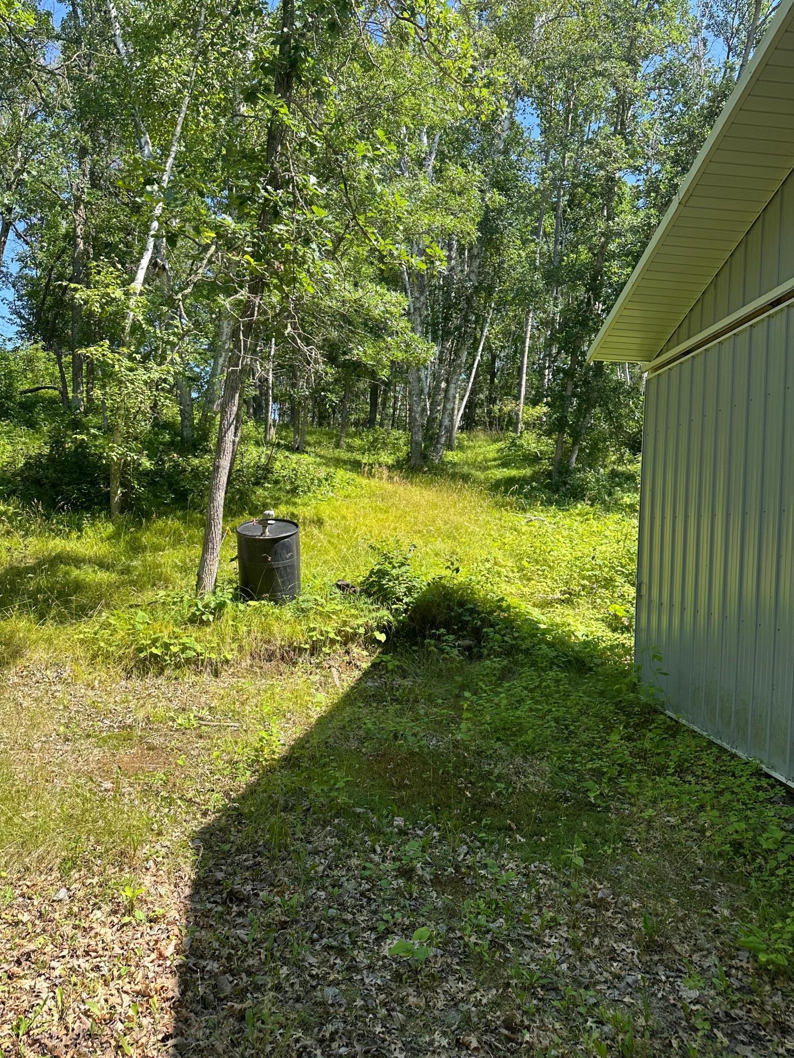 Image 4 Image 4