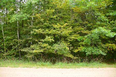 lot 2 Orchard Drive