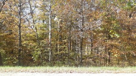 Lot 17 Pine Island Pt Dr
