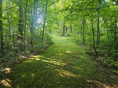 TBD Lot 2 Bunny Lane