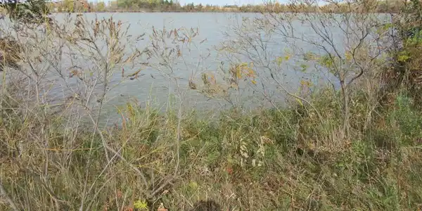 740 Lake