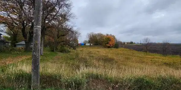 40 Oak SE