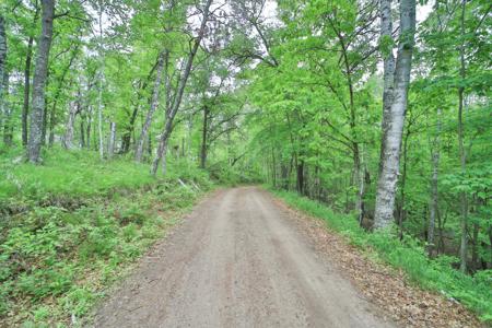 TBD Timber Ridge Drive