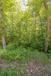 TBD Island View Drive NE