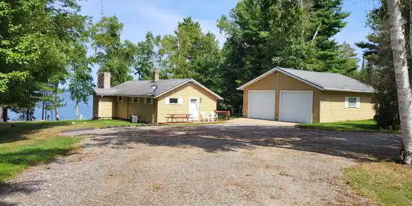 4456 Birch Forest