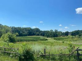 XXX Shorewood Dr
