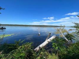 2826 Lake Shore