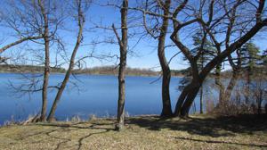 Lot 3 Frieda Drive