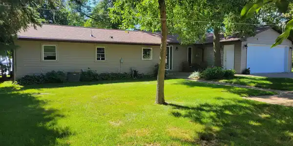43923 Conifer