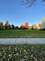 11458 Laketowne