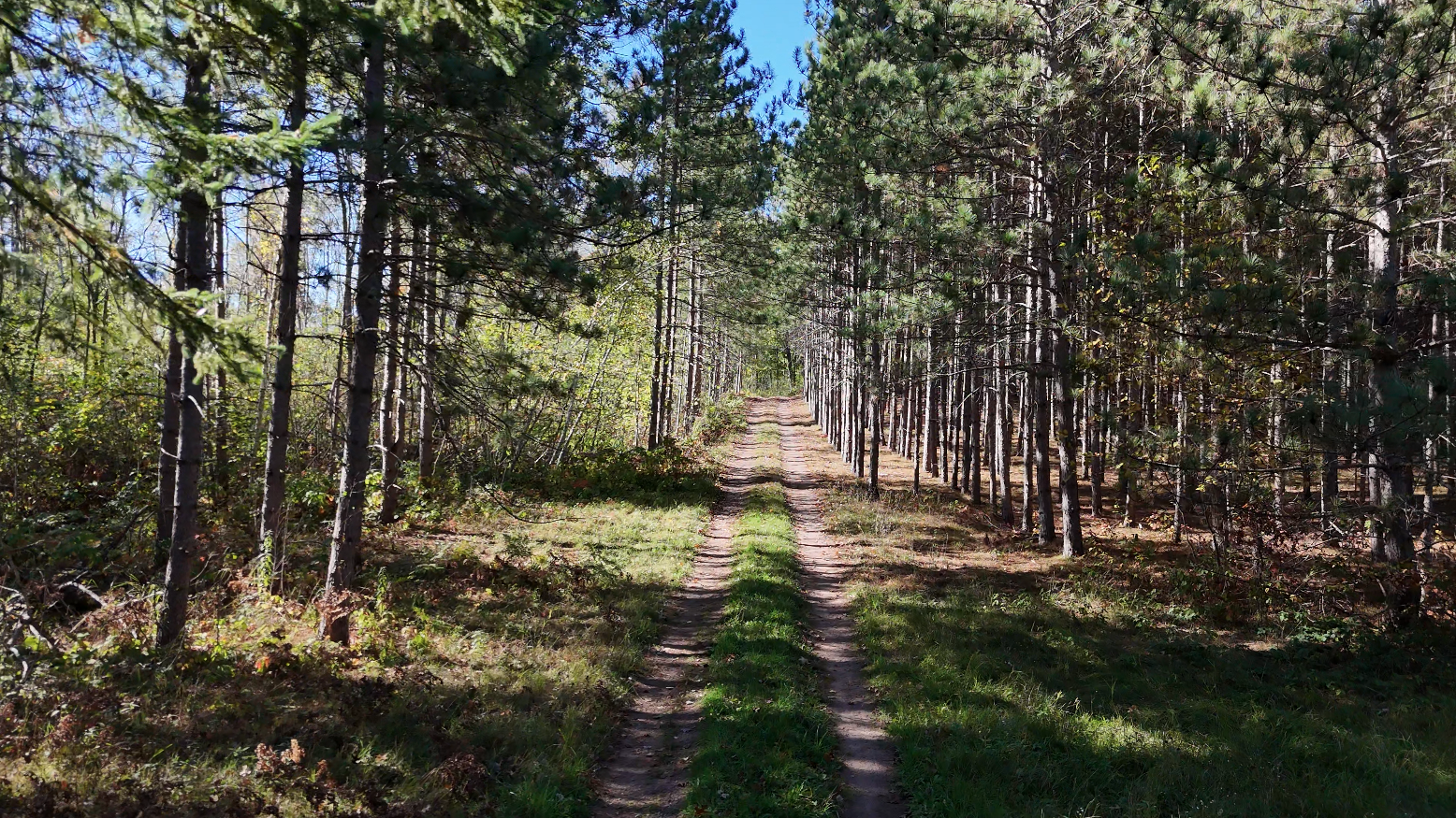 Image 1 Image 1