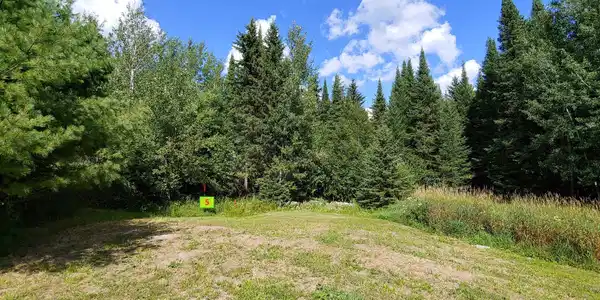 10407 Ash River Trail