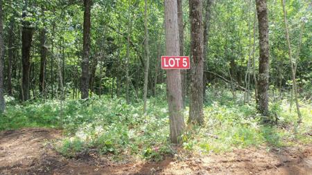 Lot 5 Brch Tree Trl