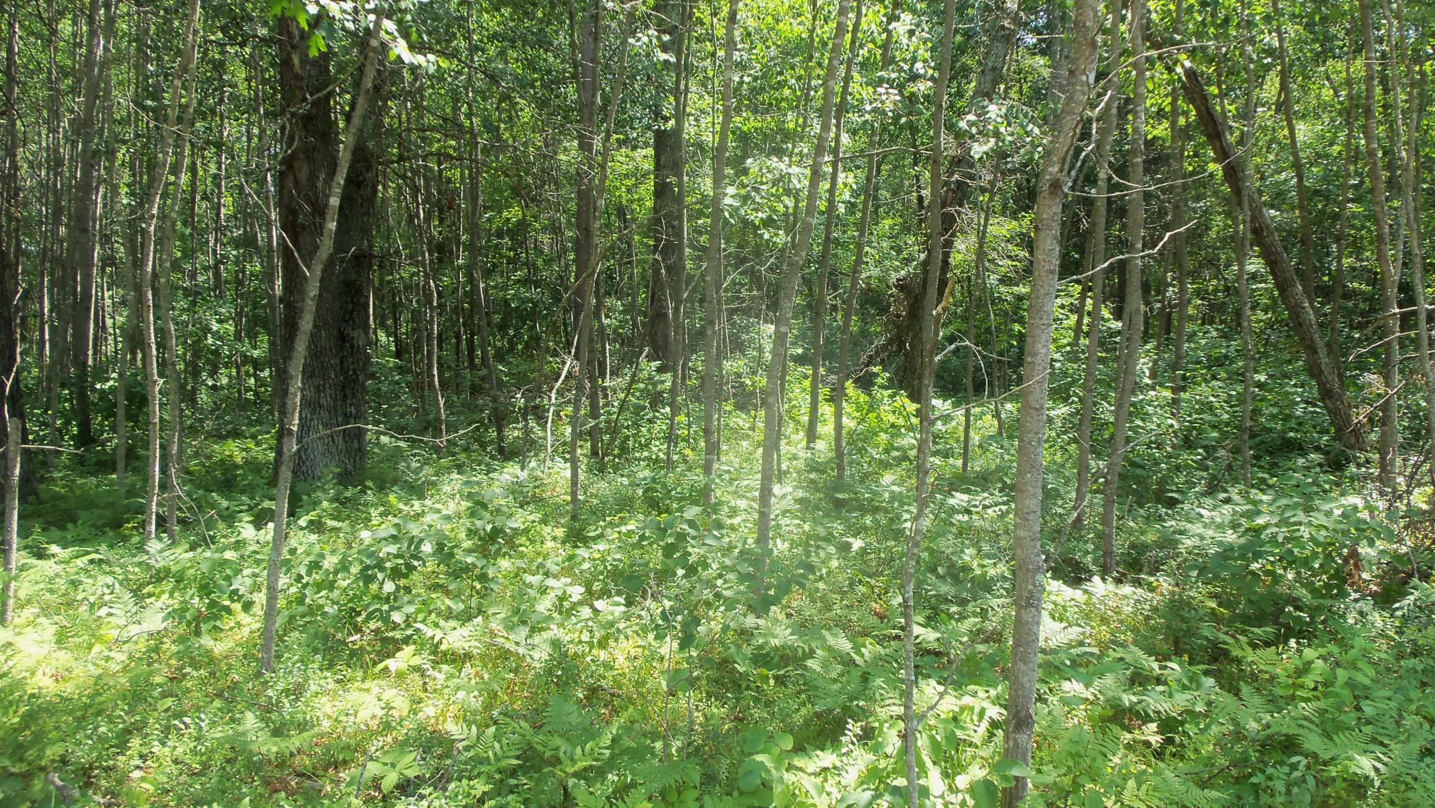 Image 3 Image 3