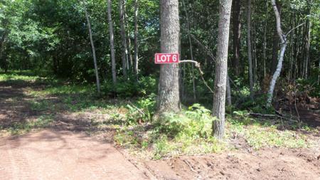 Lot 6 Birch Tree Trl