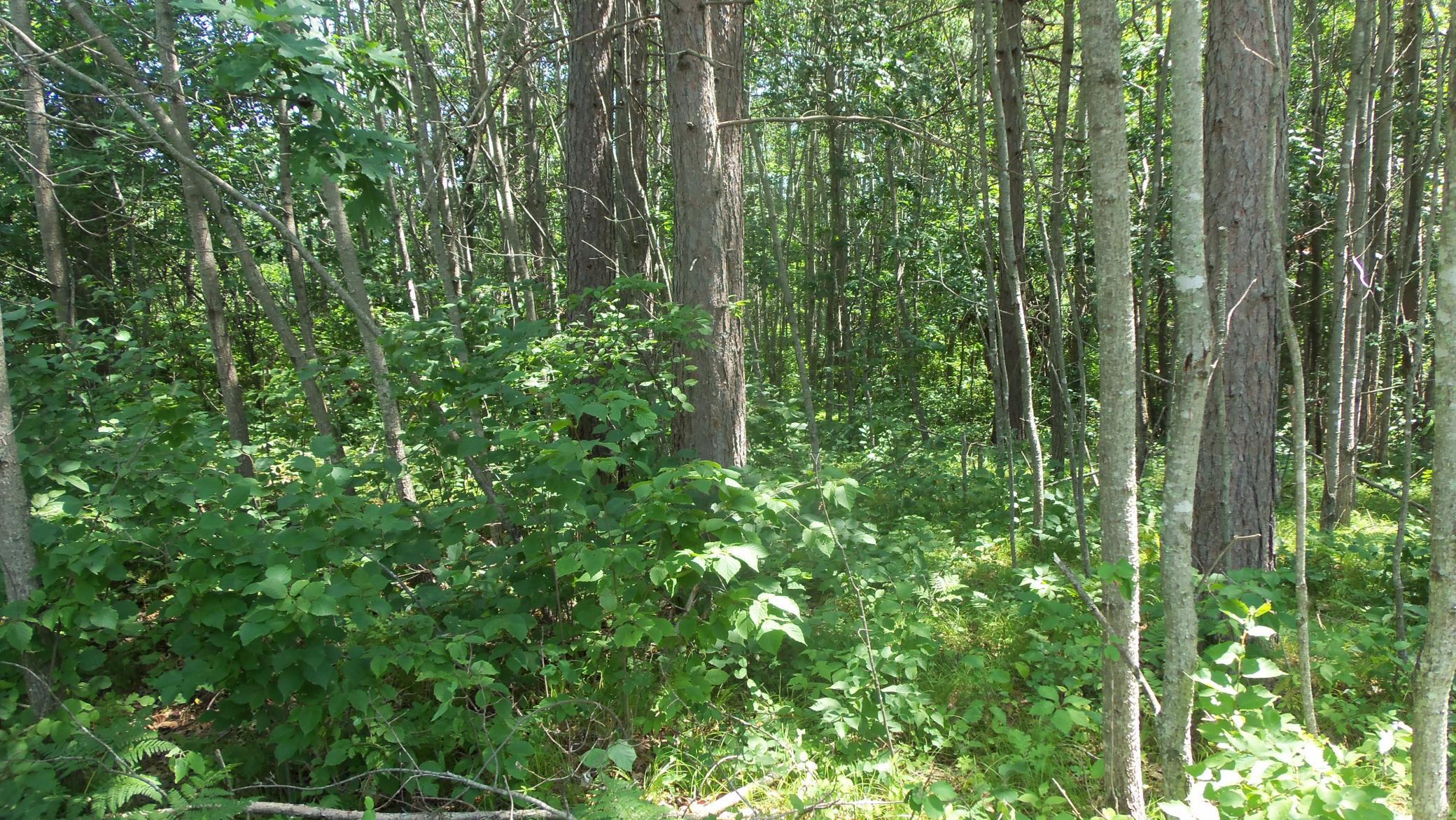 Image 3 Image 3