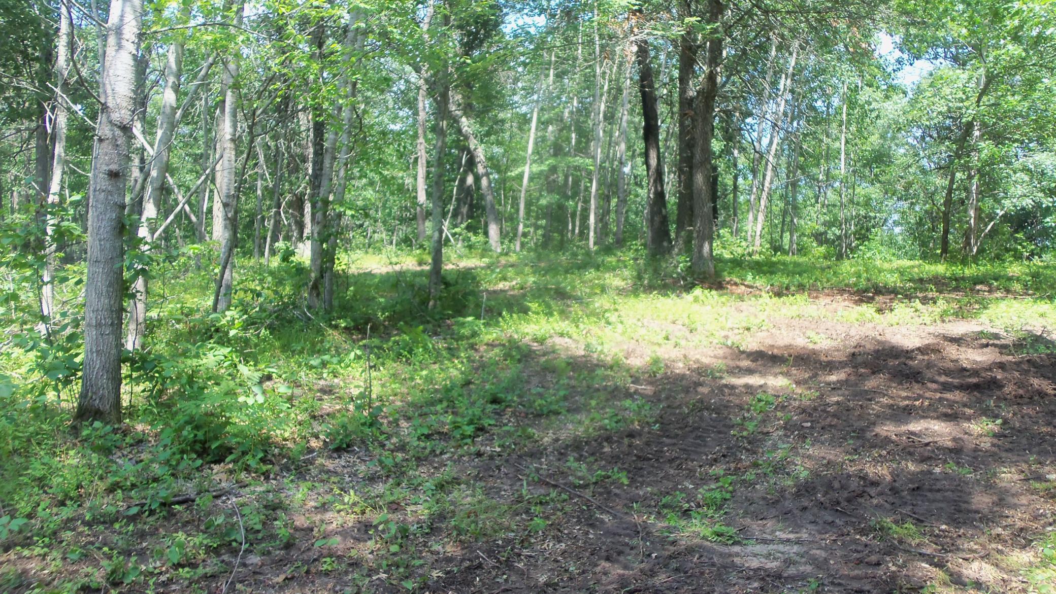 Image 4 Image 4