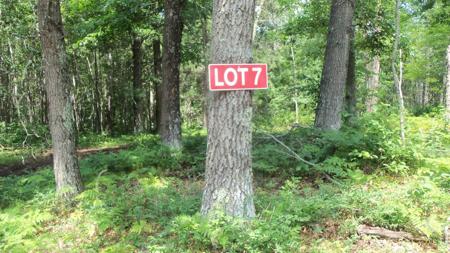 Lot 7 Birch Tree Trl