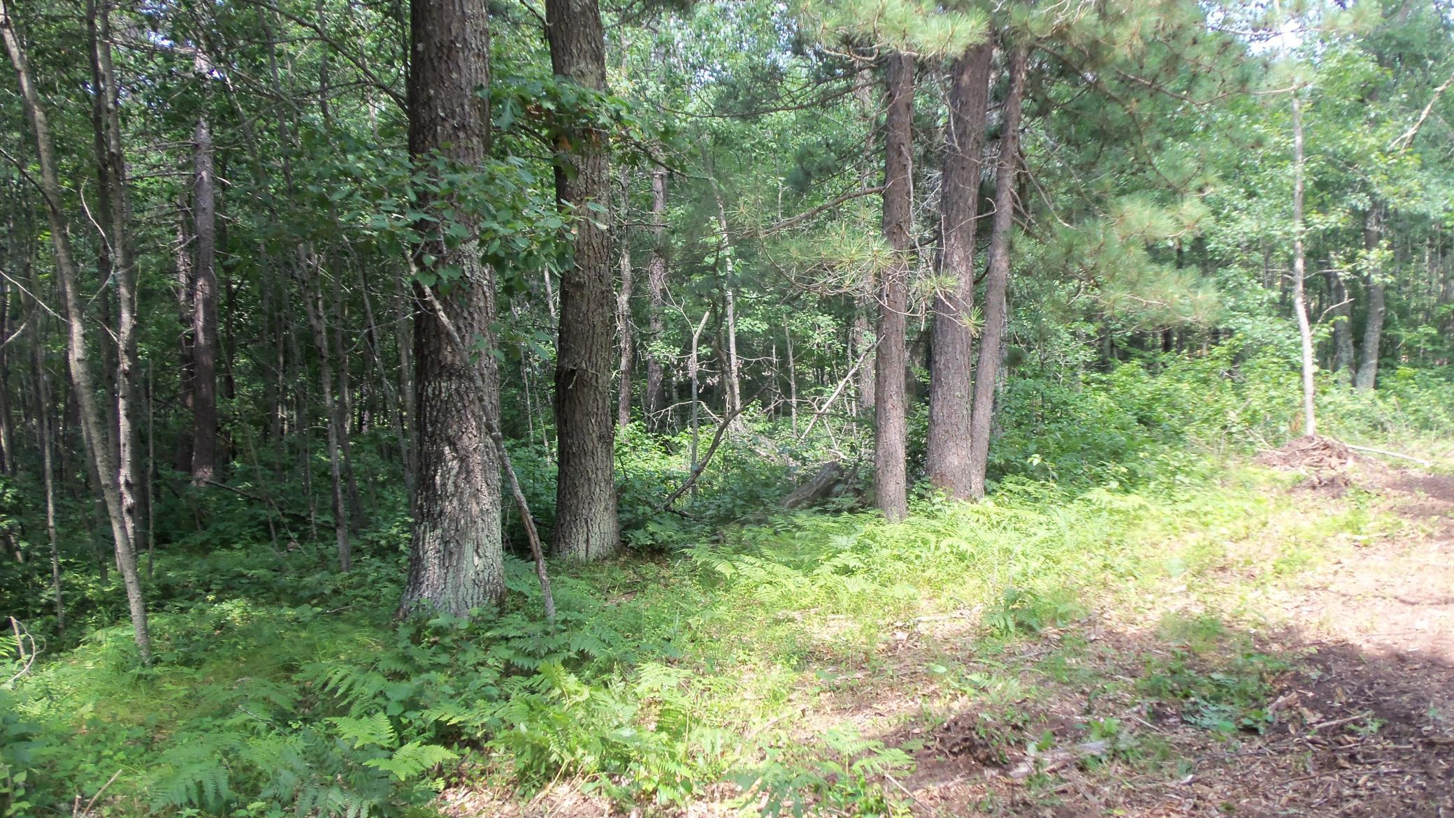 Image 3 Image 3