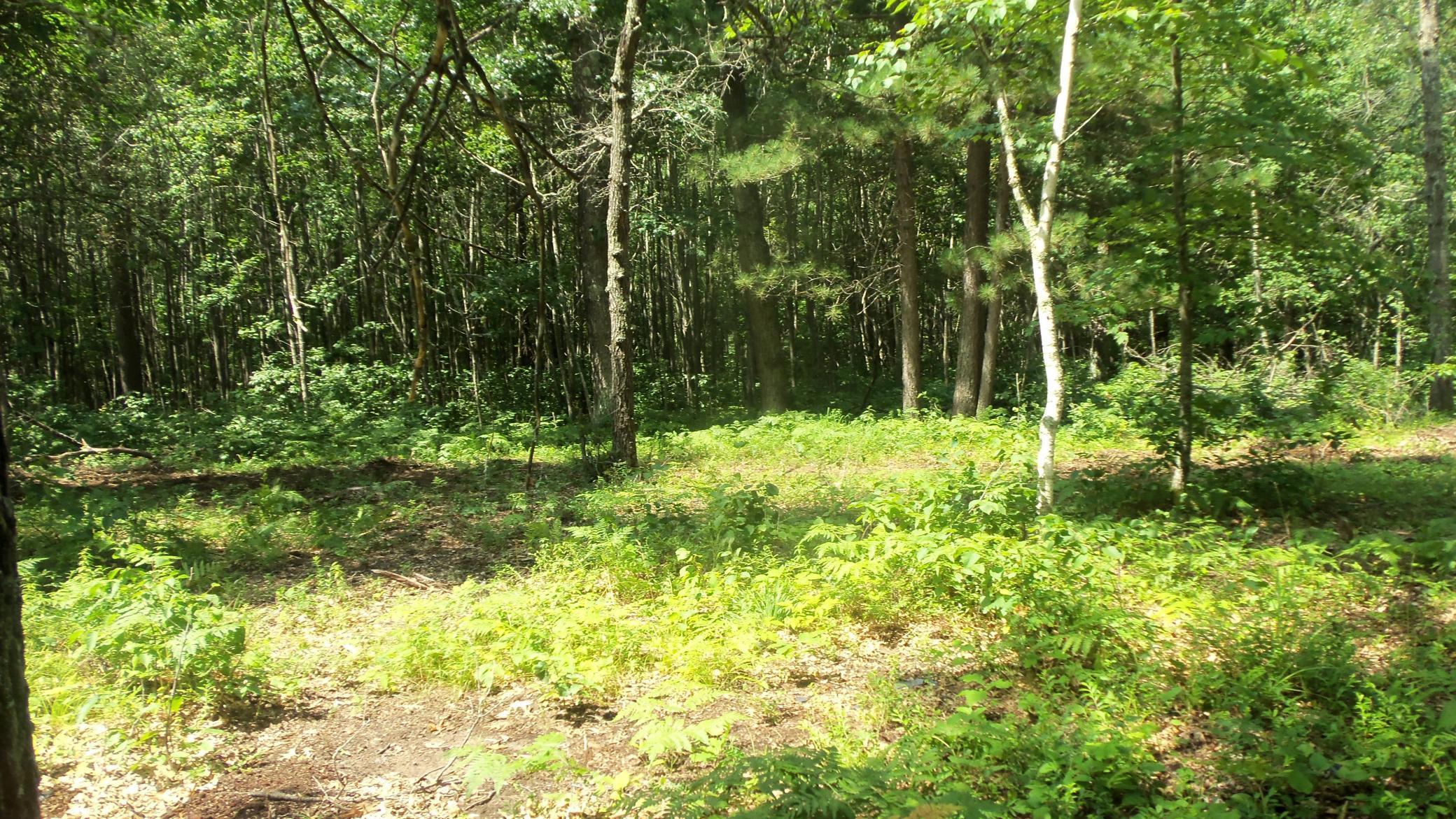 Image 4 Image 4