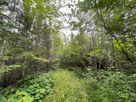 TBD Hwy 61