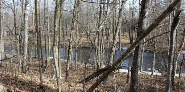 xxx Porcupine Trail